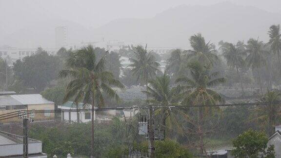 有棕榈树的小镇在台风和季风的热带大雨下暴风雨的雨季4k