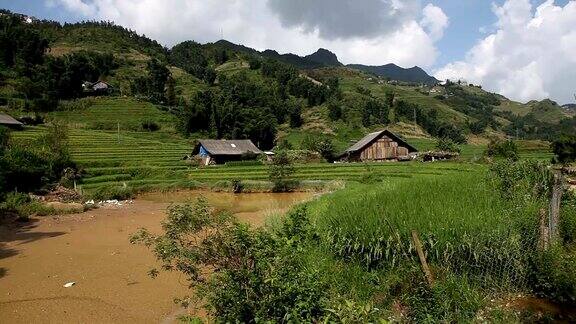 越南萨帕的rice字段景观