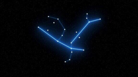 仙女座-以星场空间为背景的动画黄道星座和占星术符号
