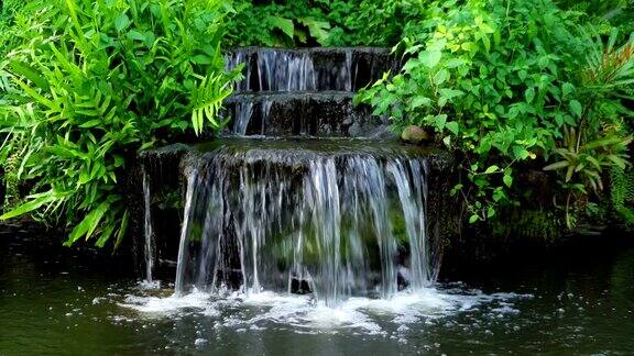 小溪花园瀑布水在池塘与锦鲤和郁郁葱葱的植物户外公园