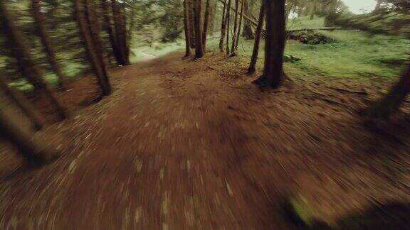 森林中POV步道跑步:越野跑步