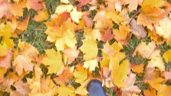 人在满是秋叶的地面上行走4k慢镜头60帧