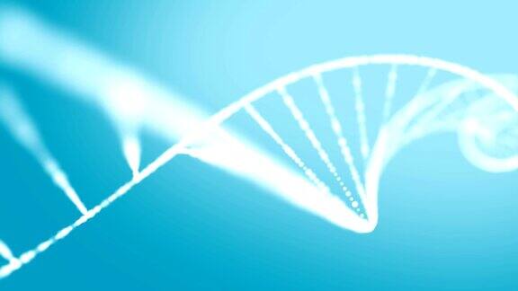 DNA结构形成