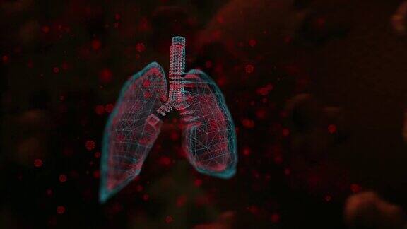 肺部感染新冠肺炎和病毒传播生殖细胞背景动画