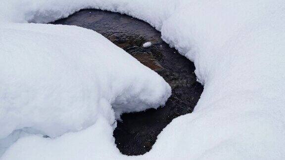 Teletskoe湖岸边的Tevenek(第三河)河边的冬季针叶林被大雪覆盖