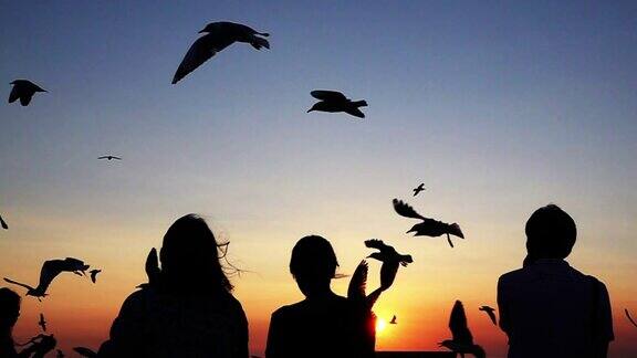 在美丽的夕阳下剪影的人和鸟