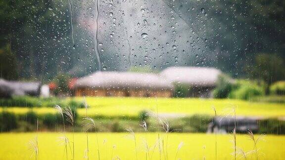 清凉的夏日阵雨从乡间的窗前流过