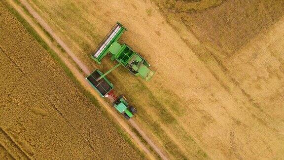 小麦收割机在日落时分用卡车从农田里装载油菜籽