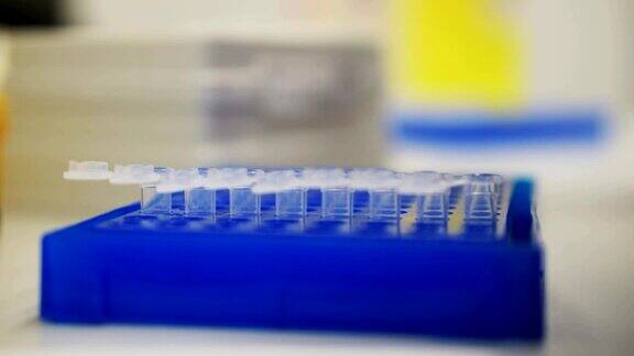实验室测试板研究人员在孔板中移液管取样血液或dna的医学测试癌症或病毒检测在实验室从事研究工作的科学家个性化的医学和诊断