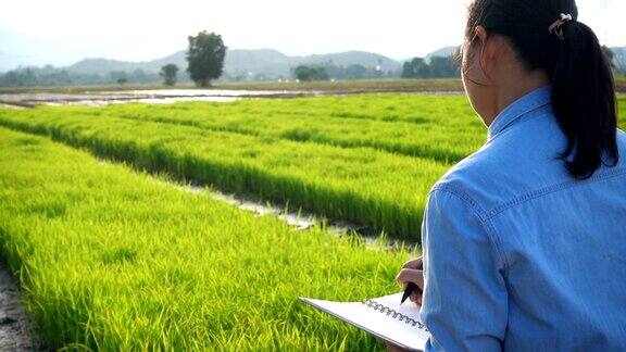 亚洲农民特写是农业领域的突出成果