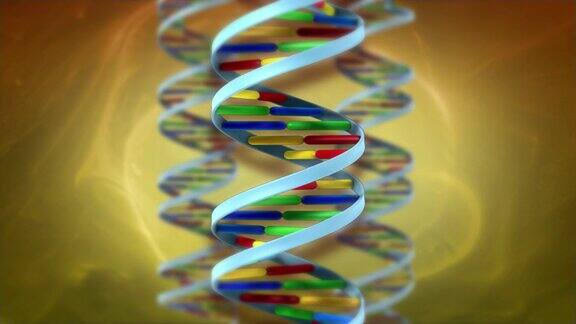 DNA背景环高清