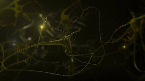 神经细胞黄色的Loopable