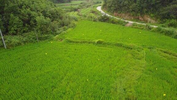 中国农业的场景