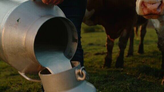 农夫把牛奶从一个桶倒到另一个桶