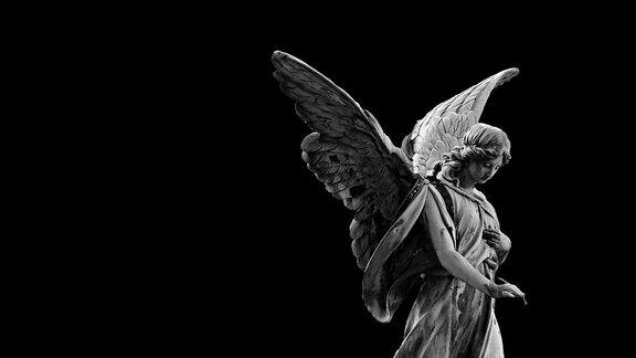 黑色背景上的女天使扇动翅膀的动画