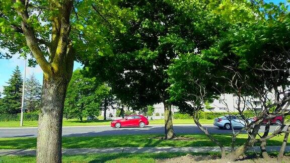 侧视图的城市交通驾驶郁郁葱葱的绿树城市景观与汽车在夏季的白天