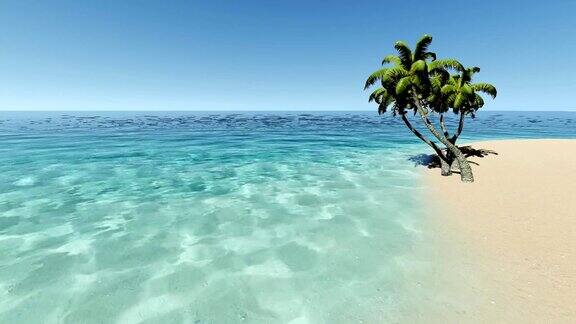 绿海中的热带岛屿棕榈树