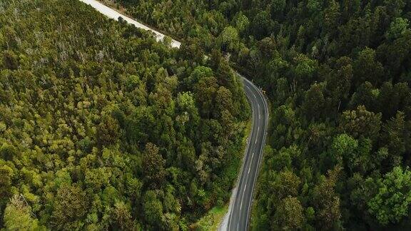 穿过森林的道路