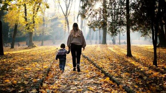 秋天母亲带着小儿子在公园里散步