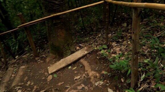 小心走在泰国北部热带森林的小径上
