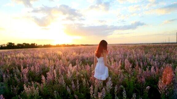一个年轻的女孩走在薰衣草的田野在日落