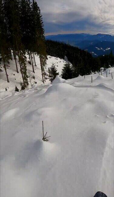 垂直视频POV拍摄的自由式滑雪板雕刻之间的树