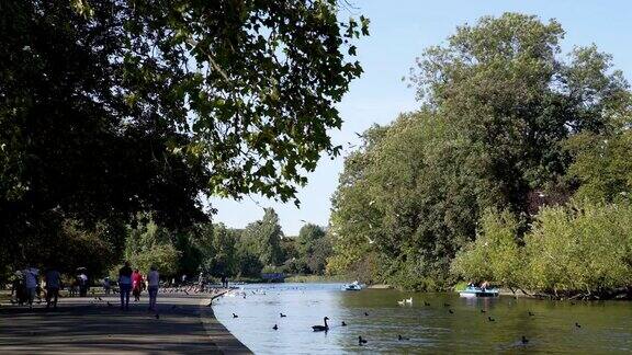划船湖在伦敦摄政公园