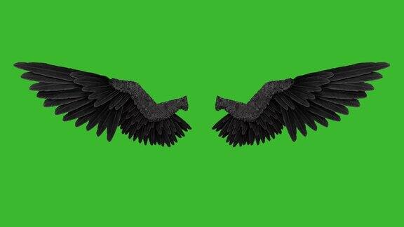 黑色天使的翅膀以绿色为背景