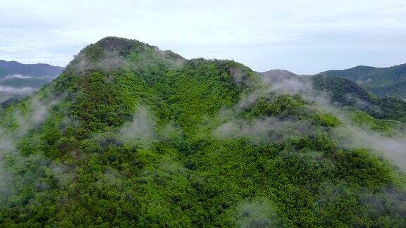 航拍:泰国热带雨林的晨雾