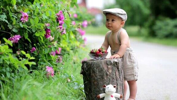 小男孩享受着一碗新鲜采摘的草莓