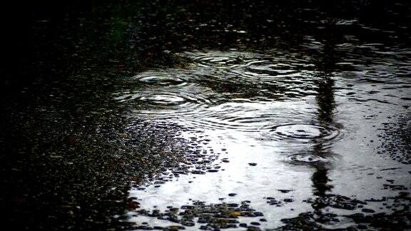 大雨在雨季打水