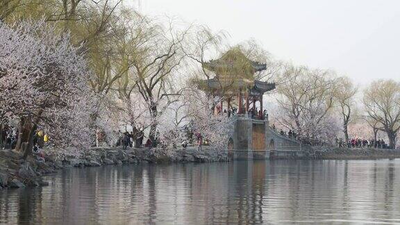 颐和园是北京的春天