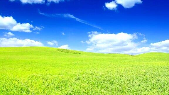 绿色的田野和蓝色的天空高清
