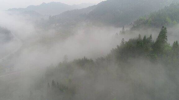 空中拍摄的雾在森林山坡桂林中国
