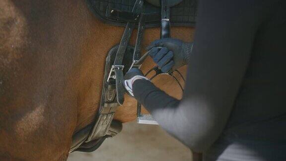 骑手调整鞍带为马匹训练做准备