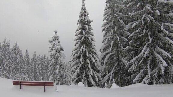 冬天的风景白雪覆盖着树木雪花落在山上