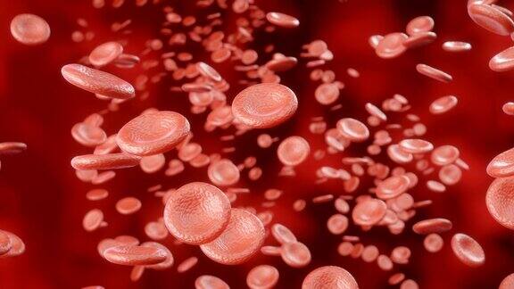红细胞在血液中移动的3D动画