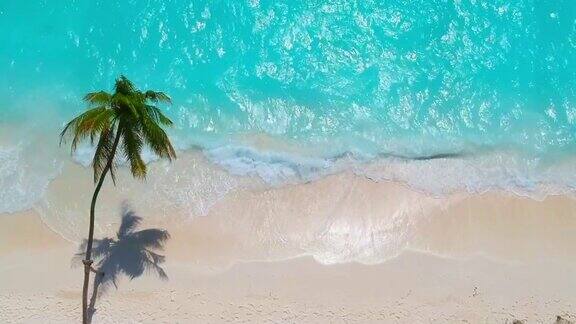 鸟瞰图的梦想海滩与棕榈树和蓝绿色的海洋