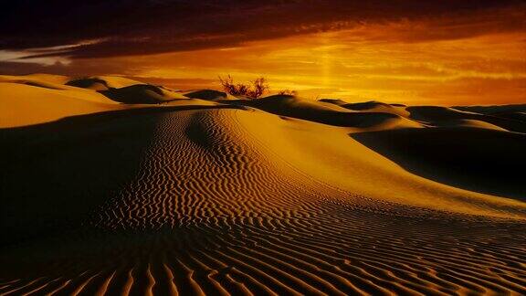 美丽的撒哈拉沙漠景观沙丘的日落