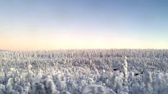 瑞典拉普兰的冬季景观基律纳瑞典