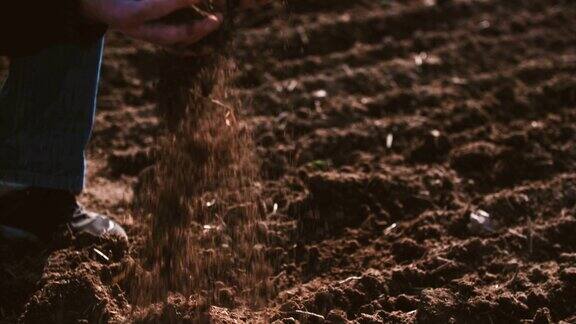 农民双手捧着倒灌有机土壤土壤、农业、阳光