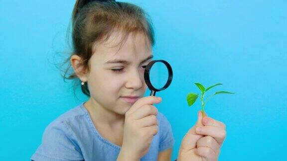 小孩在放大镜下观察植物有选择性的重点