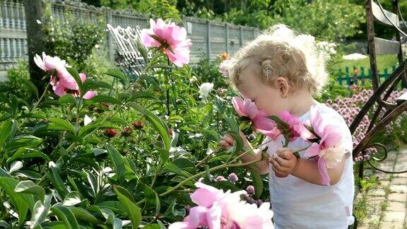 小女孩在闻一朵花