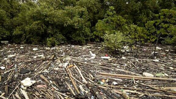 在泰国沙慕普拉坎邦浦的红树林上各种各样的垃圾被冲上岸这些垃圾主要是塑料、木材和渔网从泰国湾运到岸上这说明了海洋污染的全球性