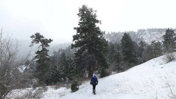 高清视频男人雪鞋雪山熊溪莫里森科罗拉多州