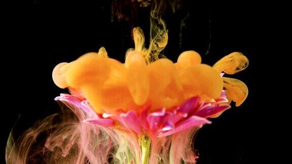 五彩的颜料墨流成一朵花