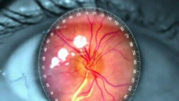 科幻小说中的视网膜扫描