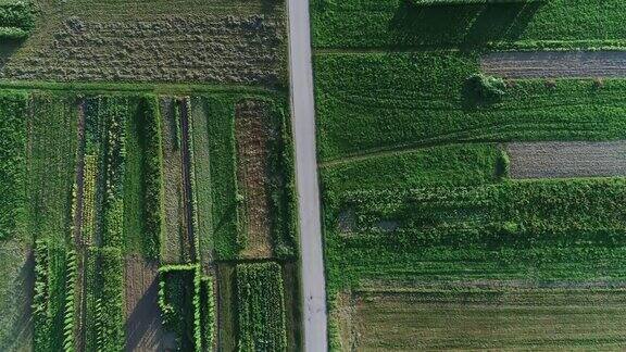 高角度视角下的沥青道路领导农业领域