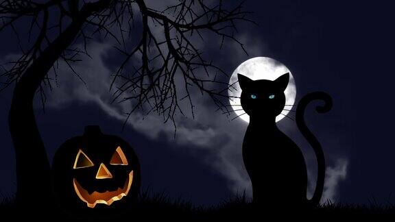 黑色的猫与可怕的蓝色眼睛和万圣节南瓜满月背景夜晚令人毛骨悚然的恐怖万圣节节日迷信邪兽观念