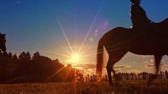 在夕阳下骑马穿过草地